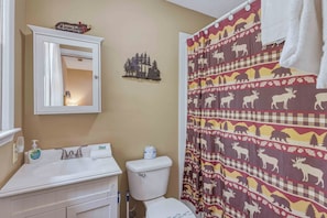 Combined shower/tub, hair dryer, towels
