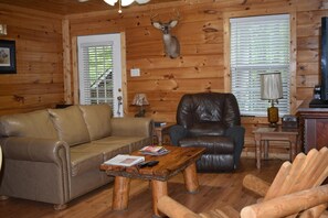 TV, fireplace, DVD player