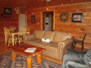 Télévision, cheminée, lecteur de DVD