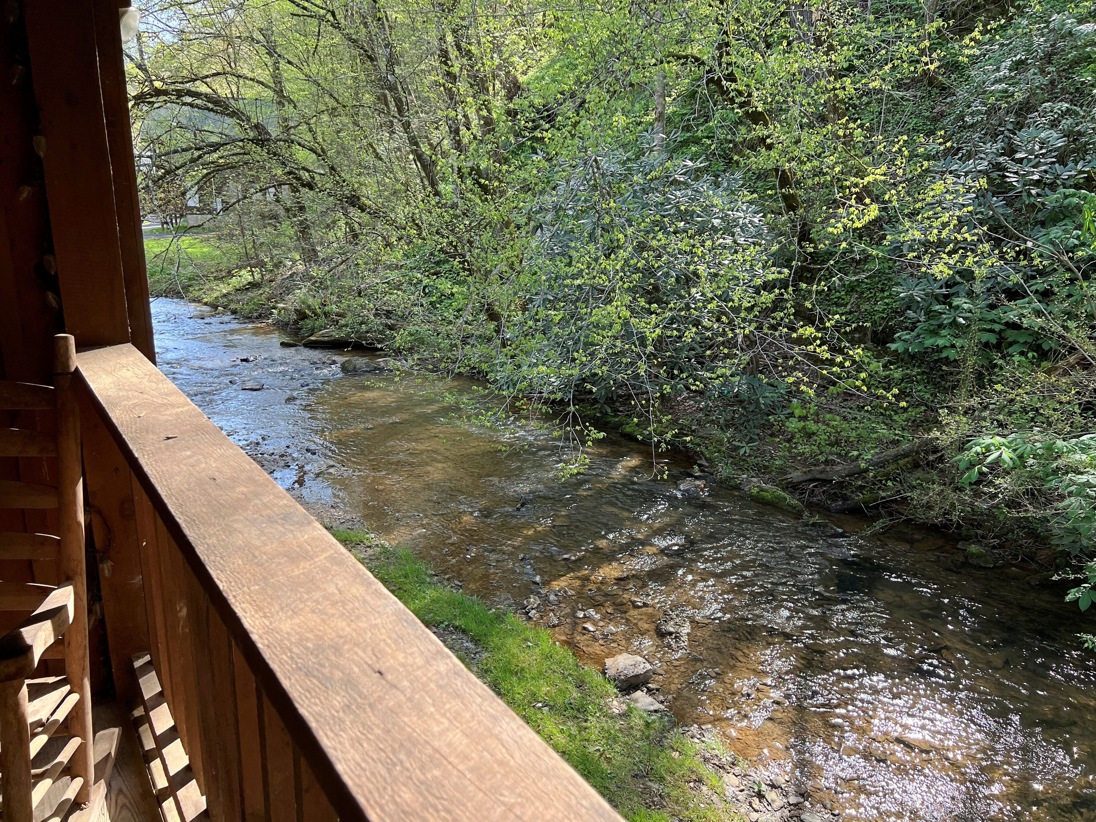 Eine Holzterrasse mit Blick auf einen klaren Bach, umgeben von dichtem Grün.