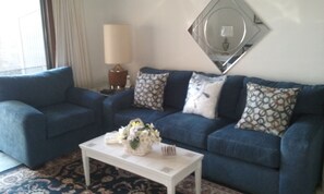 Televisión, chimenea, reproductor de DVD y libros 