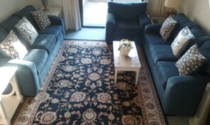 TV, lareira, DVD player, livros