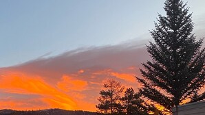 Vista al atardecer con una mesa de picnic en primer plano, un gran pino y un edificio de fachada amarilla.