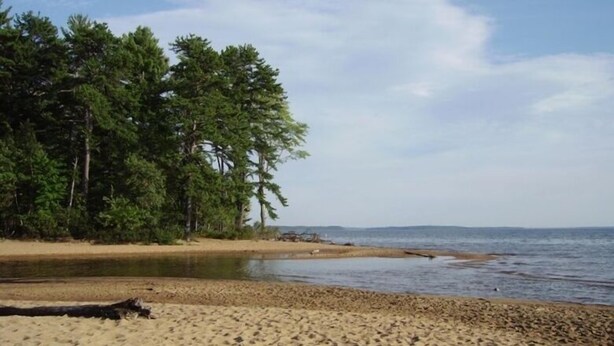 A beach with a sandy shore, a calm sea, and a line of trees in the background.