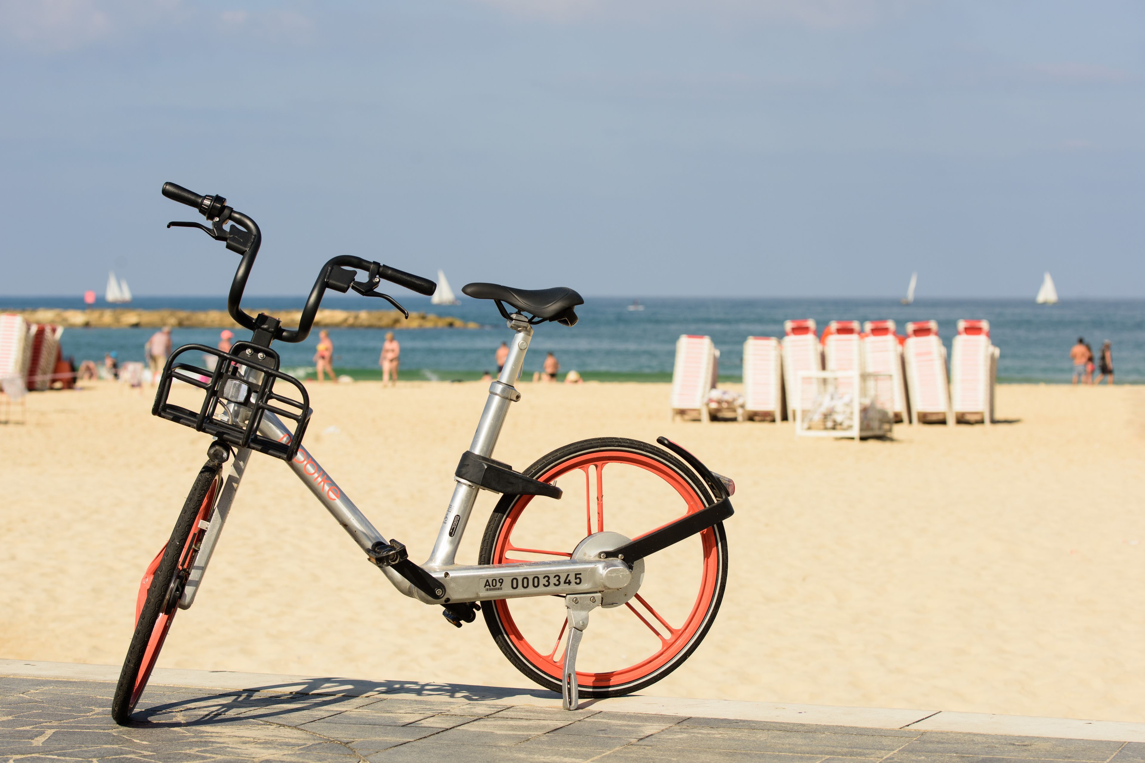 Foto - The Spot Hostel