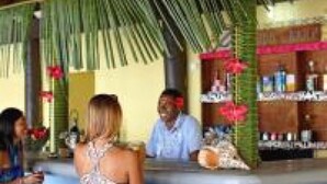 Zona de bar con mostrador, decoración tropical y un área de asientos con una persona.