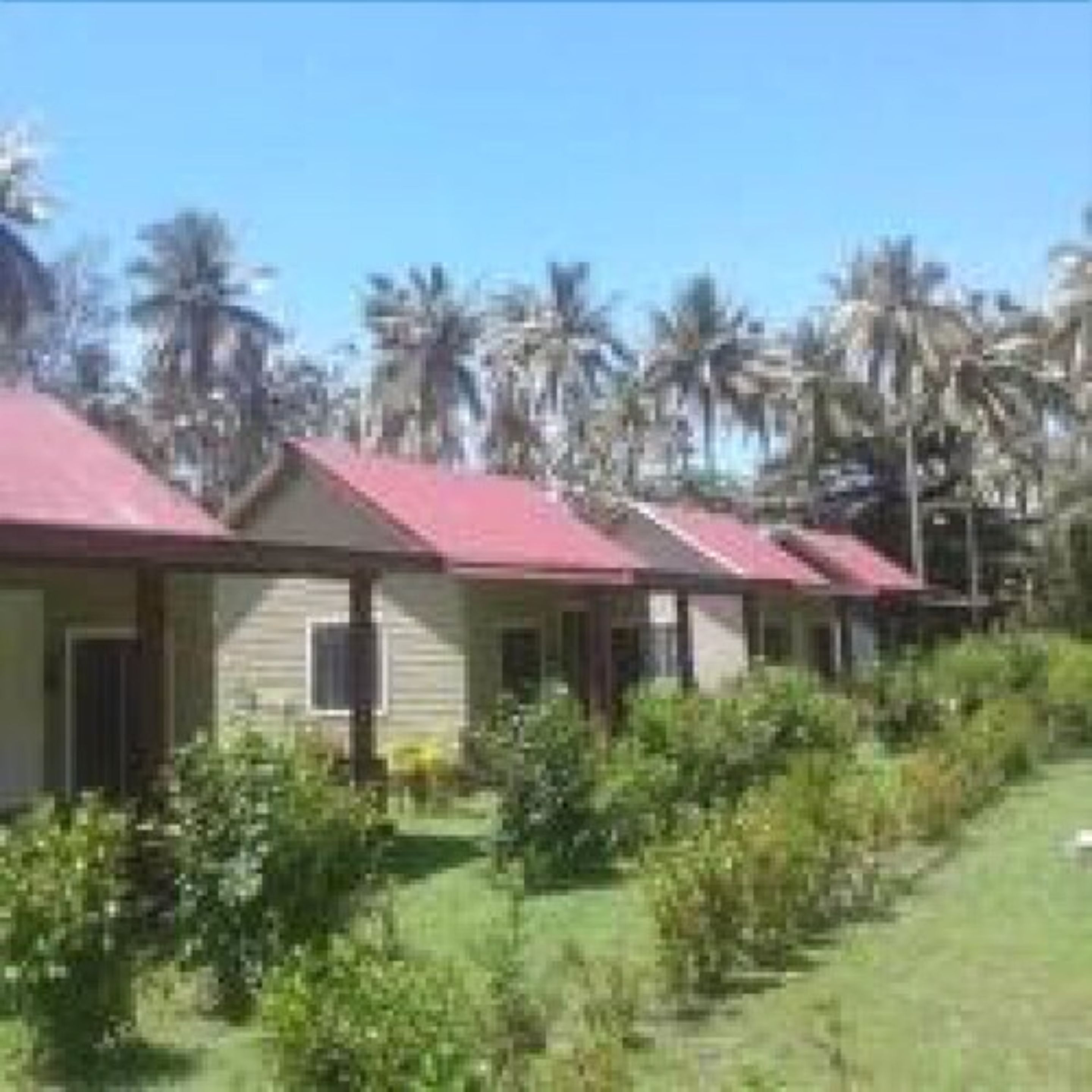 A row of single-story buildings with red roofs, surrounded by greenery and palm trees.