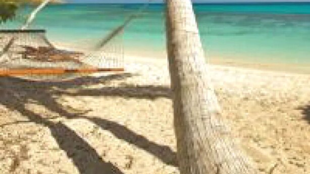 Escena de playa con una hamaca, una palmera y agua azul cristalina.