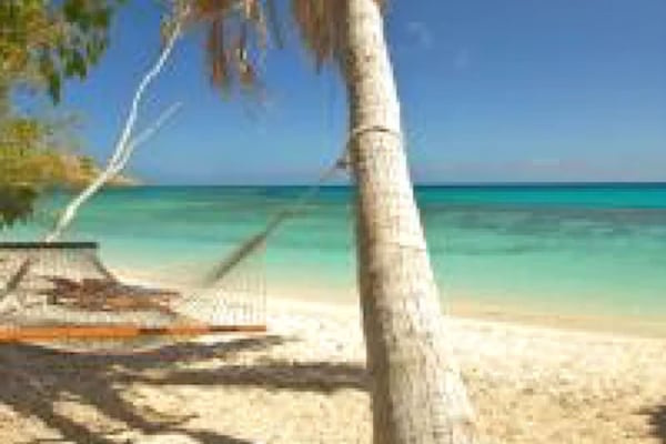 Panoramic Cabin, 1 Bedroom, Ocean View, Beachfront | View from room