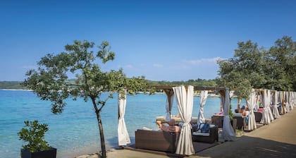 Villa in Njivice on the island Krk-swimming pool, BBQ, seaview, garden****