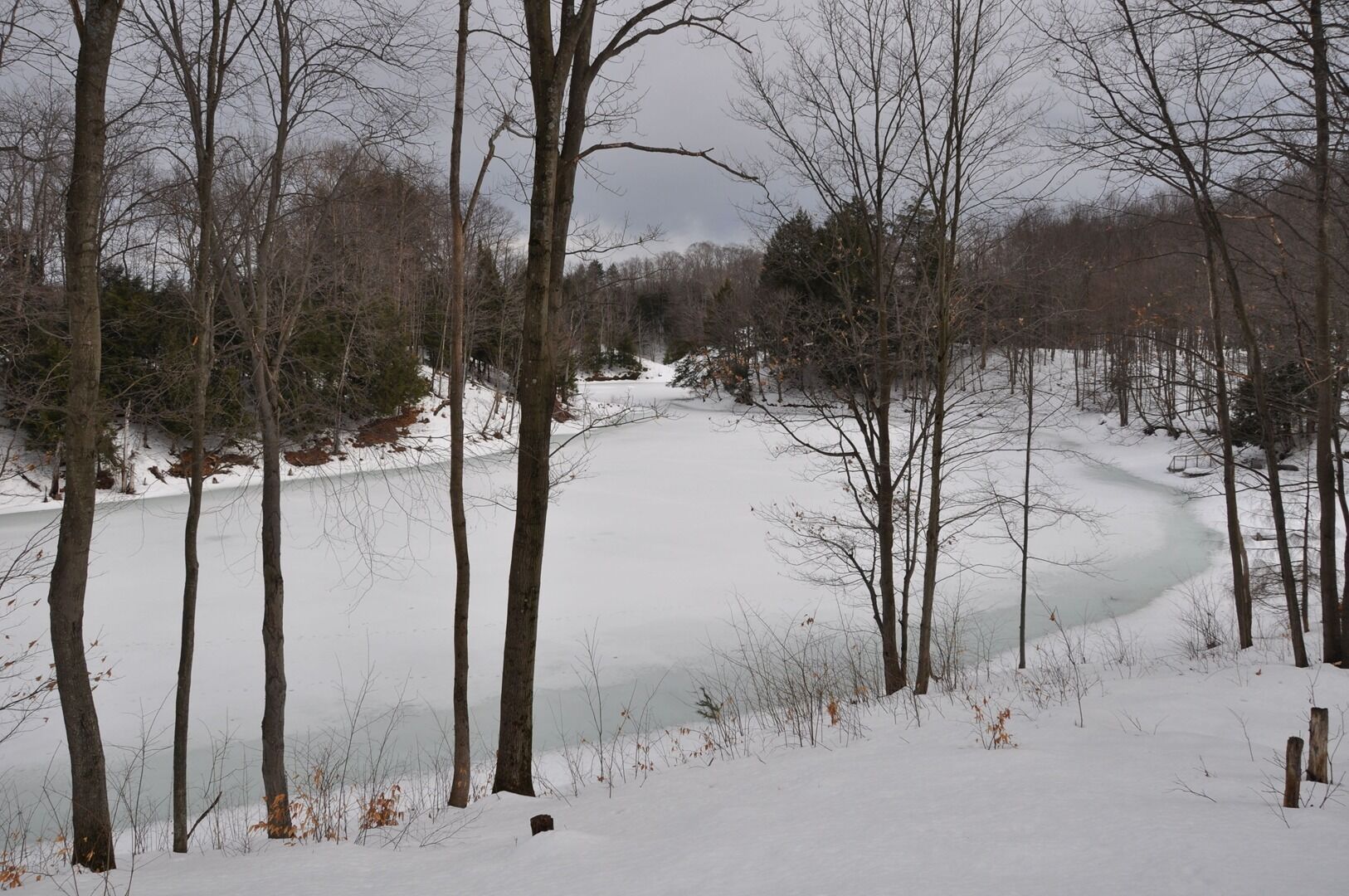 Un paysage enneigé, avec des arbres et une étendue d’eau gelée.