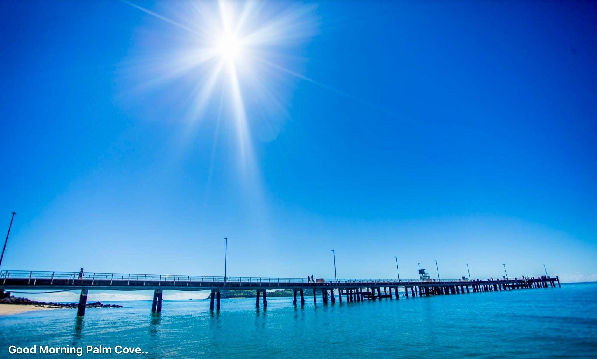 The Escape @ Palm Cove — image 15