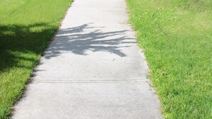 Ein gerader Bürgersteig, gesäumt von Bäumen und Gras, der zu einer Straße mit parkenden Autos führt.