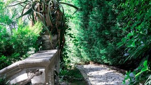 A stone pathway leading through a lush garden with a stone bench and a large potted plant. - Villa immersed in the Green (Pellaro)