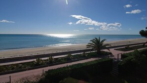 Een uitzicht op het strand met een heldere lucht, een stralende zon en een palmboom.