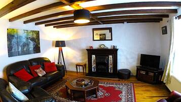 TV, fireplace, DVD player, books