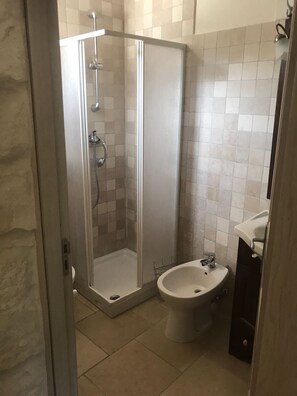 Regadera, secadora de cabello, bidet, toallas 