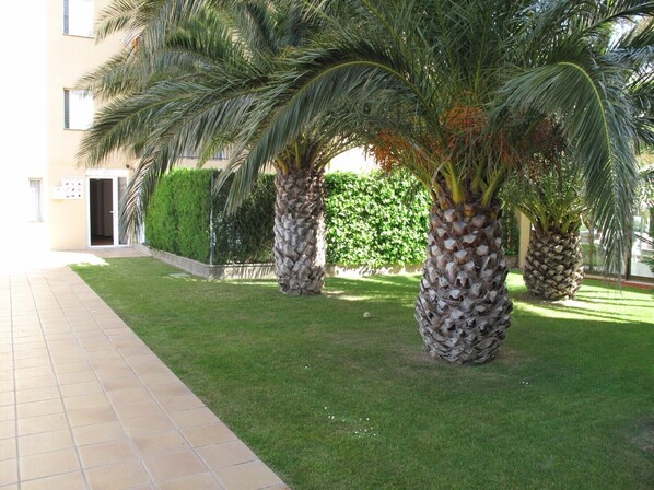 Terrain de l’hébergement 