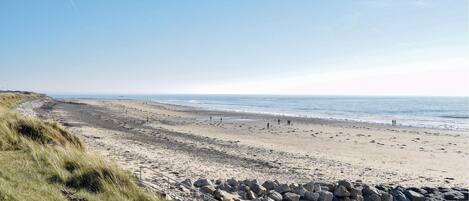 بالقرب من الشاطئ