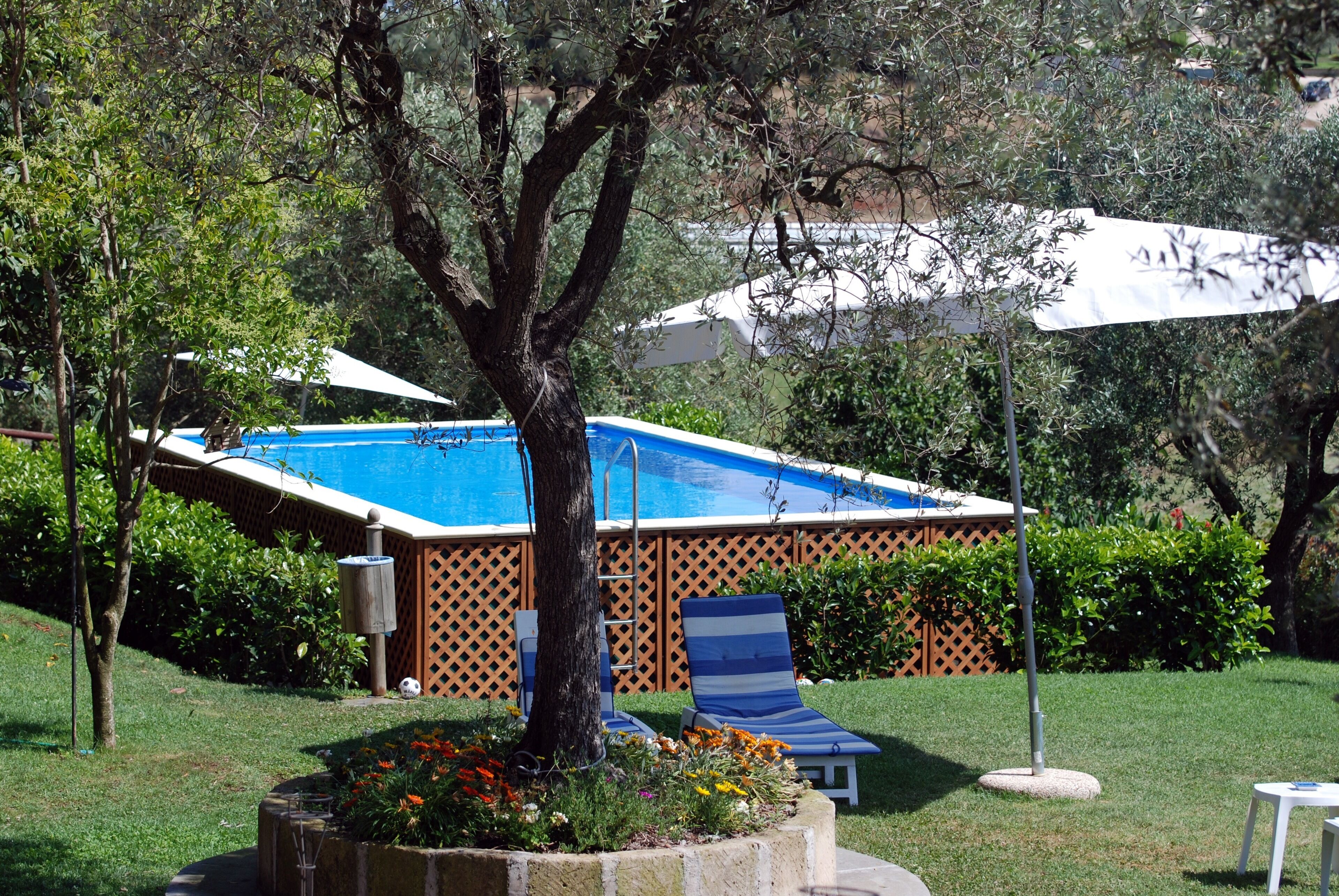 A swimming pool with a blue deck, surrounded by a wooden fence and a small garden area with flowers and a tree.