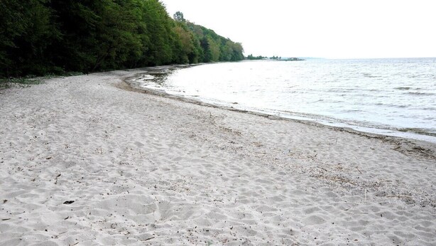 Una playa arenosa con un área boscosa a un lado y un mar tranquilo al otro.