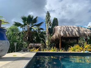 Ein Swimmingpool mit einer strohgedeckten Struktur, umgeben von tropischen Pflanzen und Palmen.