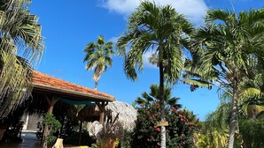 Un jardín tropical con palmeras, una estructura de techo de paja y plantas en macetas.