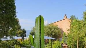 Zwembadgedeelte met een grote cactus op de voorgrond, omgeven door witte kiezels.