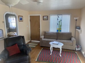 Smart TV, fireplace, DVD player, books