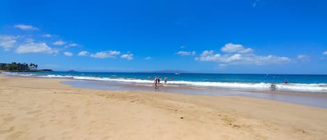 Plage à proximité, chaise longue, serviettes de plage