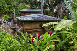 Property grounds - Casa Santa Maria - Jungle River Retreat, Off-The-Grid, Seclude Get Away. (Benque Viejo del Carmen)