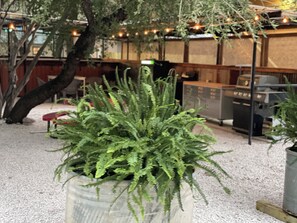 Interior - Ella's Guest Lodge, Private Riverfront @Vacation Frio River sleeps 12-24 (Concan)