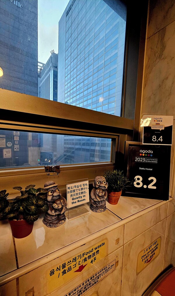 Stella Hostel - Gyeonggi-do