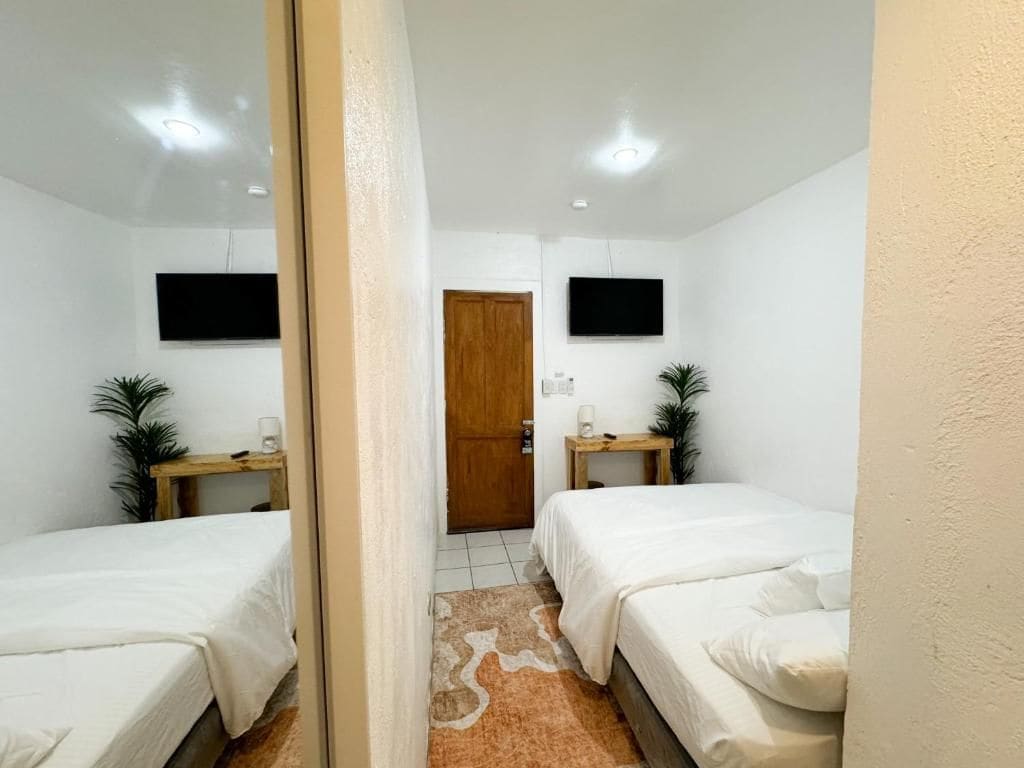 Ein Hotelzimmer mit zwei Betten, einem an der Wand montierten Fernseher, einer Holztür und einem kleinen Tisch mit einer Pflanze.