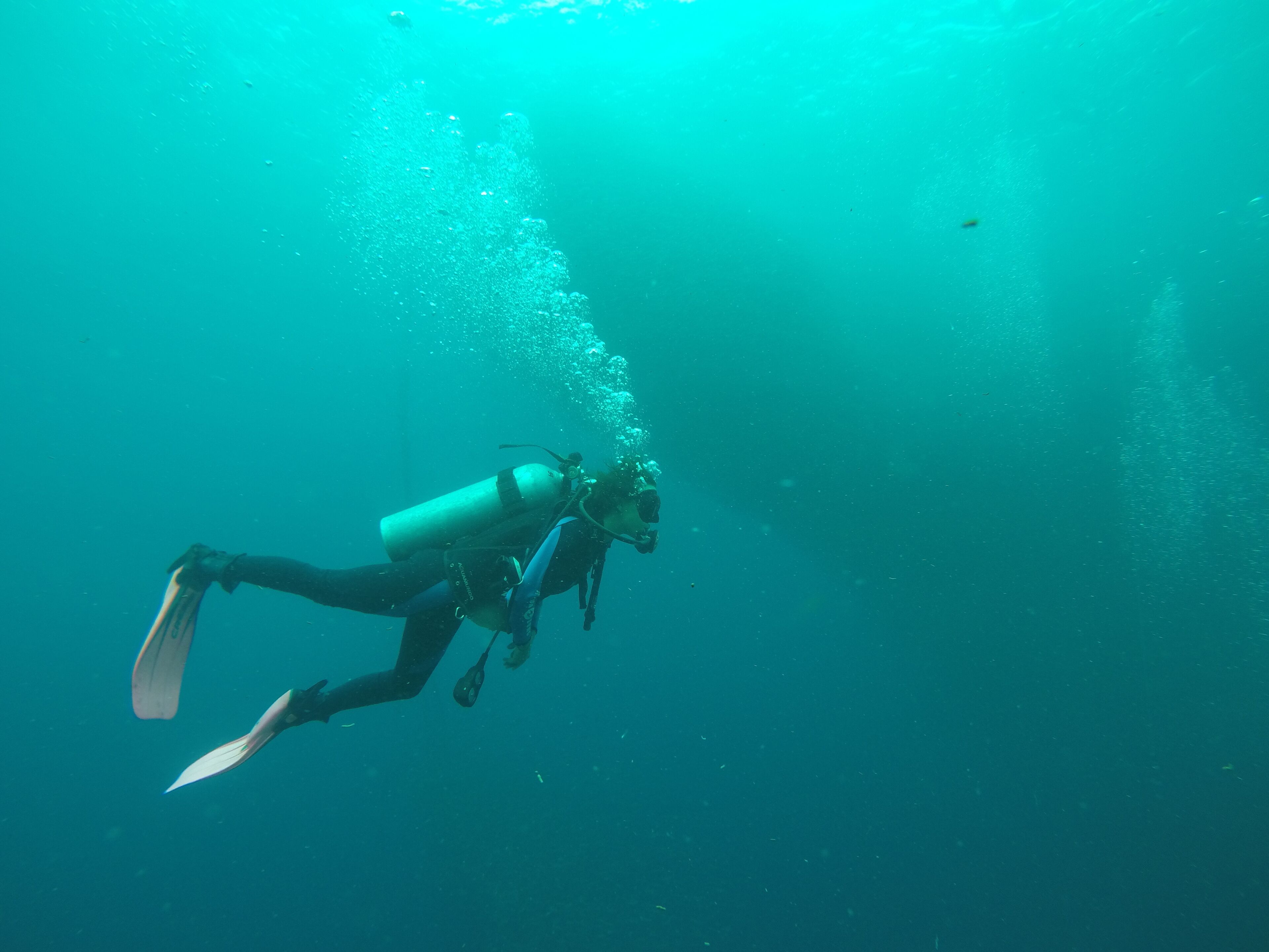 Un plongeur sous l'eau, équipé d'une bouteille de plongée et de palmes.