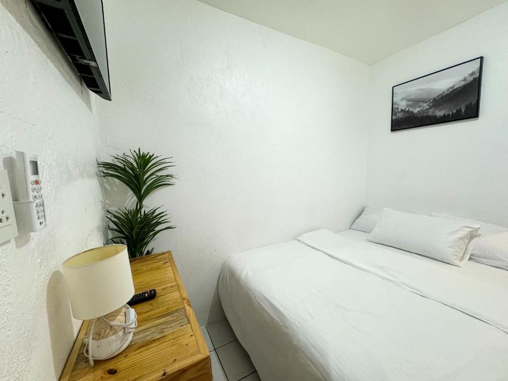 A hotel room with a bed, a bedside table with a lamp, a potted plant, and a painting on the wall.