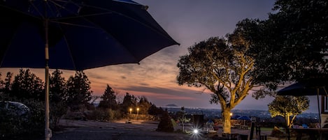 Grill-/picnicområde