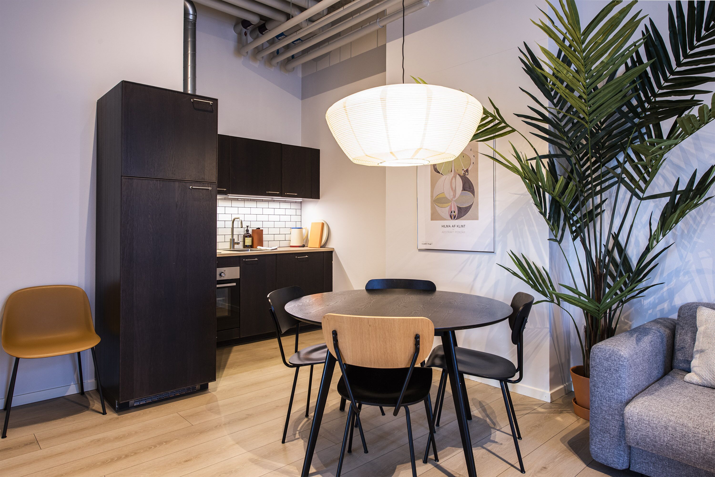 A modern kitchen with dark cabinetry, a round dining table with chairs, and a large potted plant.