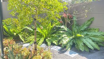 A garden with various plants and a wooden structure.