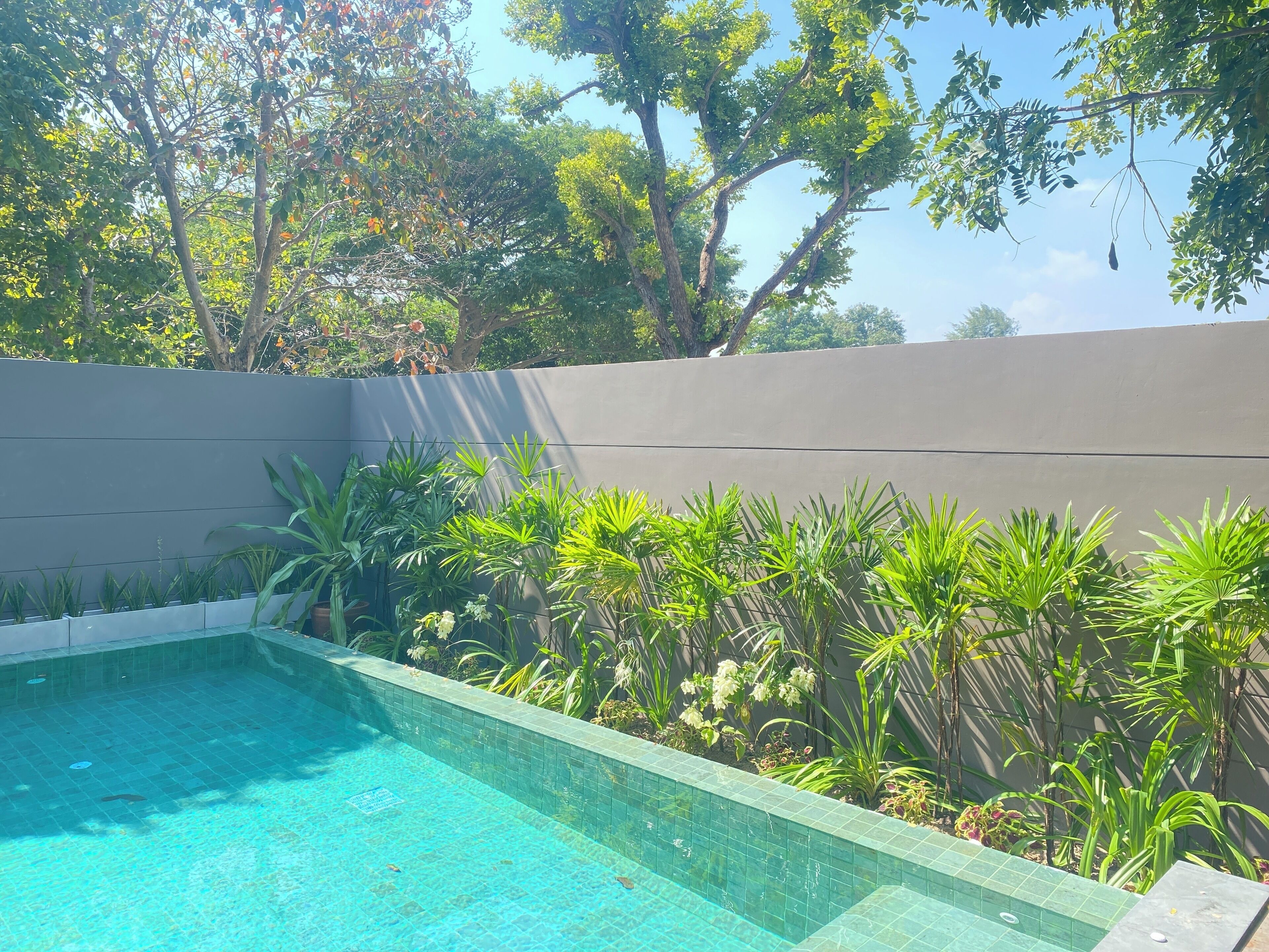 A swimming pool with clear blue water, surrounded by lush green plants and trees.