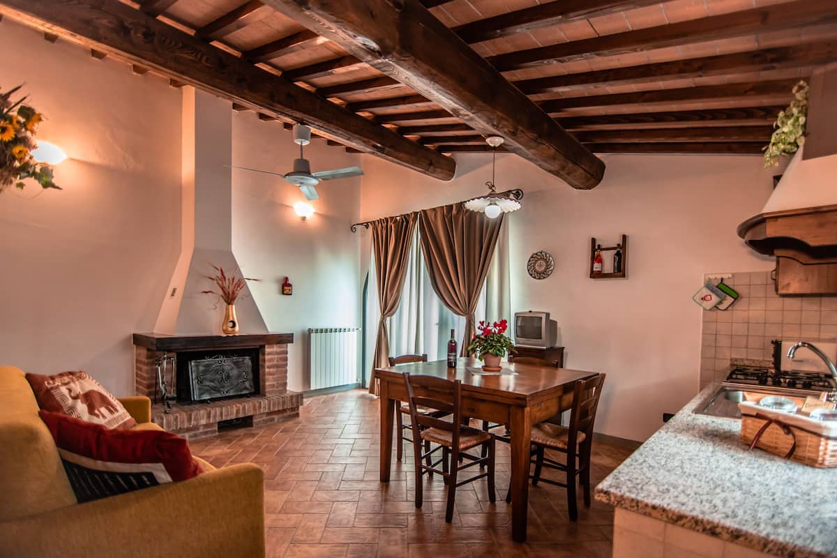 Un salon chaleureux avec une cheminée, un coin repas avec une table et des chaises en bois, et une cuisine équipée d’une cuisinière à gaz.
