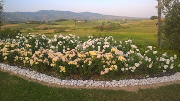 Vistas a la montaña