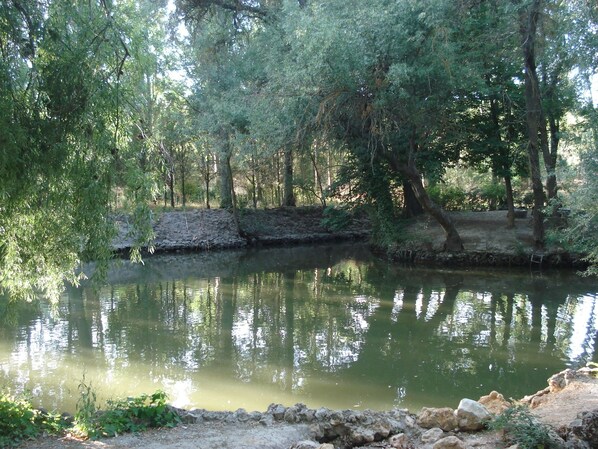 Property grounds - El Rincon del Labrador (Castromonte)