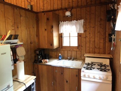 Cozy "Beach" Cabin in the woods with Pentwater Lake frontage and access
