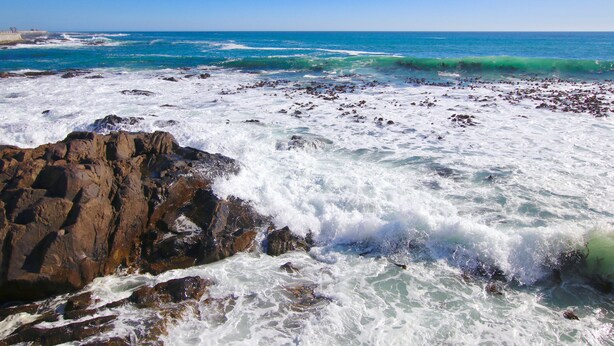 A rocky shoreline with waves crashing against the rocks. - Houghton Place Sea Point (Cape Town)