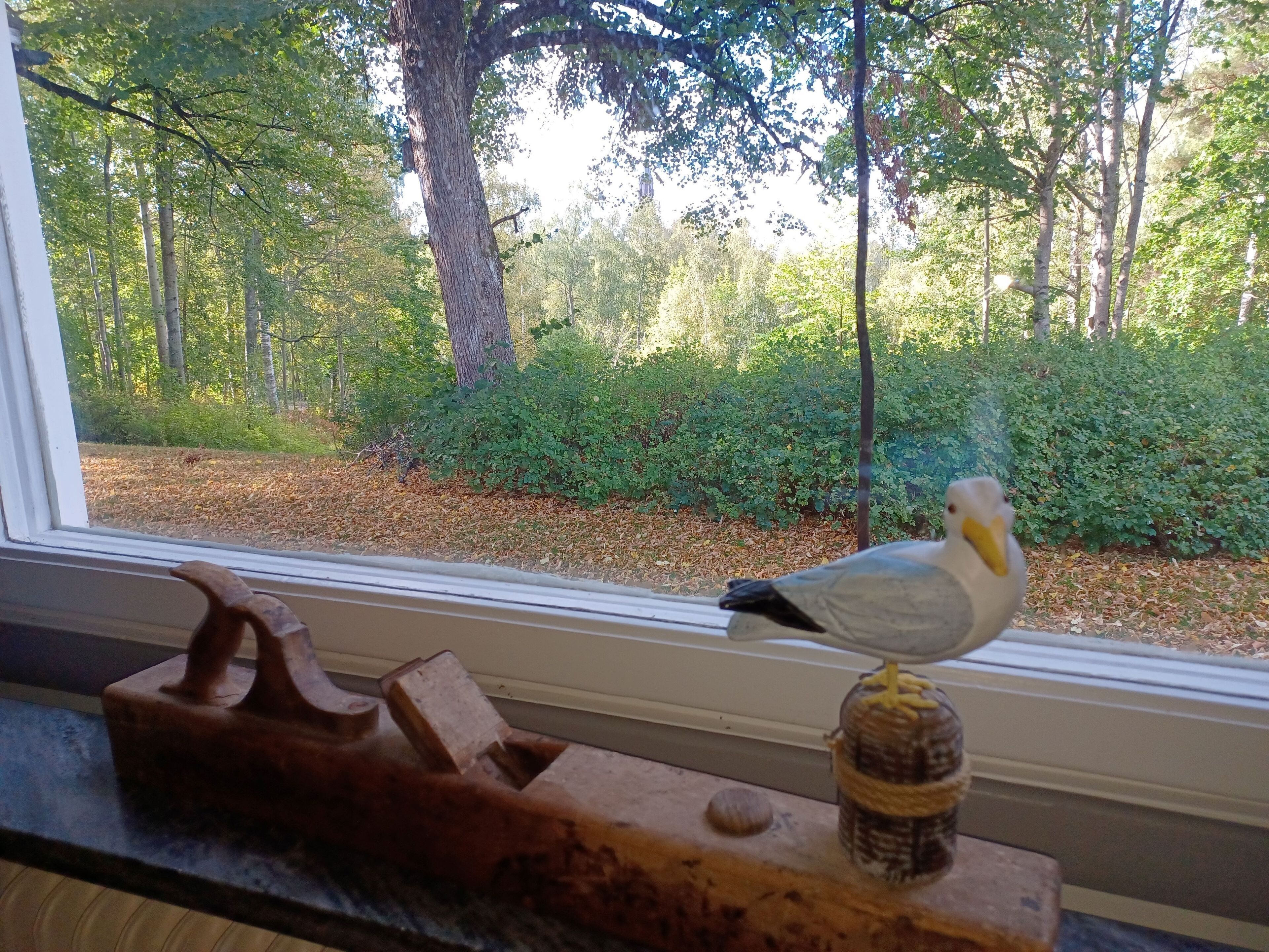 A window with a view of a forested area and a bird figurine on a wooden surface.