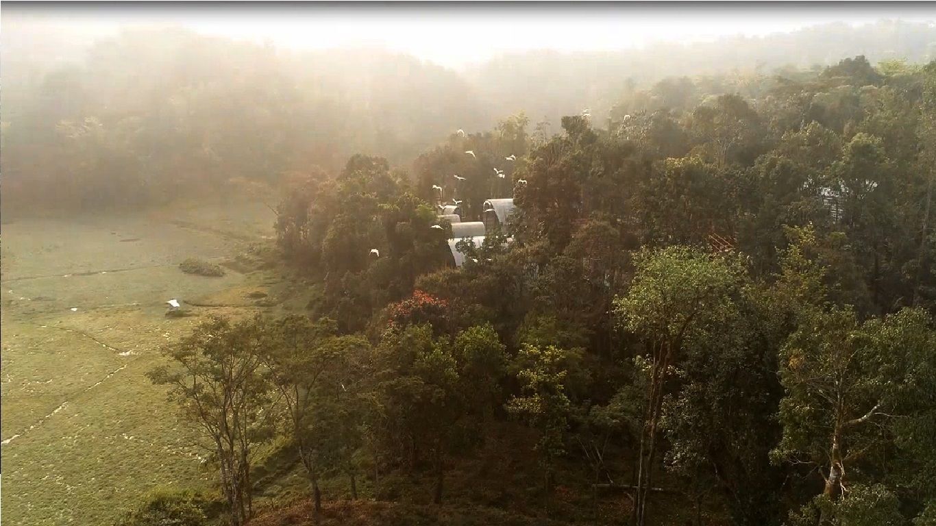 A rural landscape with a house surrounded by dense trees and open fields.