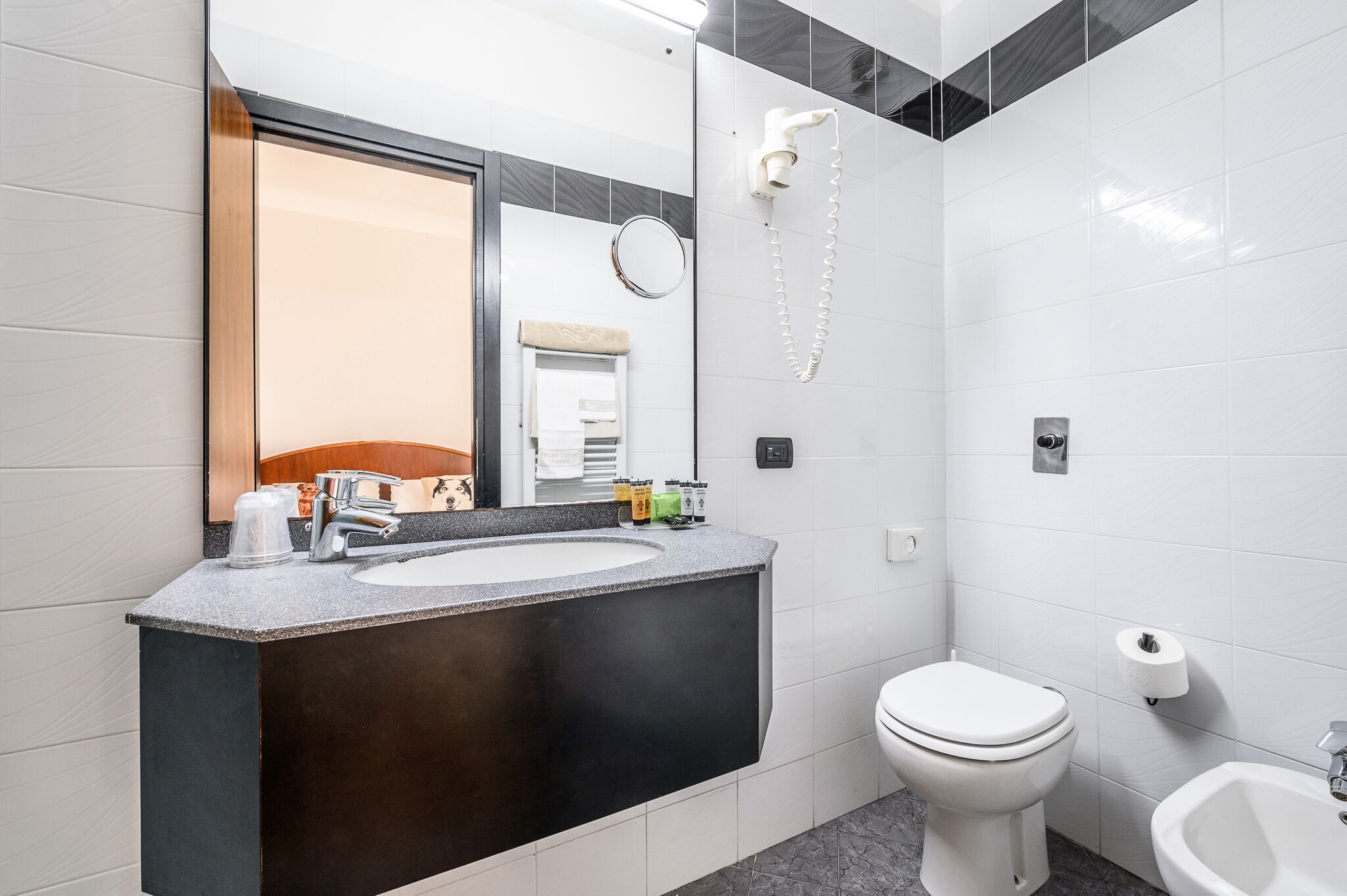 shower, free toiletries, hair dryer, bidet