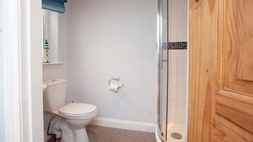 Een kleine, schone badkamer met toilet, douche en een houten deur.
