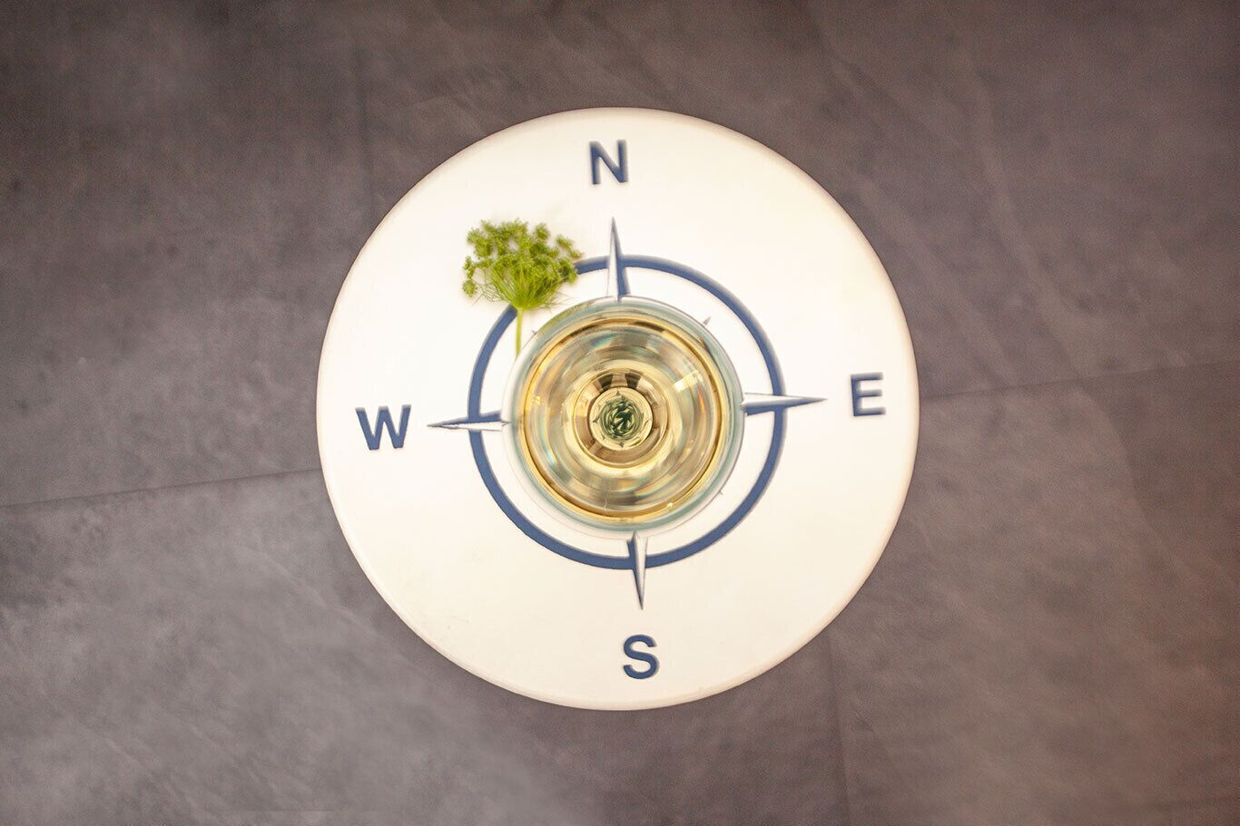 A compass rose on a circular object with cardinal directions labeled.
